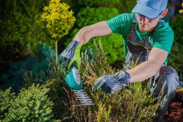 landscaping services Glandorf